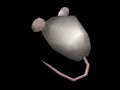 I M Gonna Be 500 Miles Low Quality