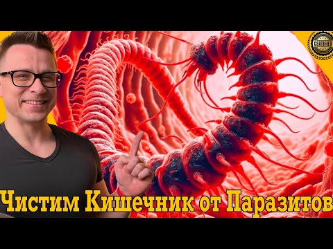 Как быстро избавиться от паразитов в кишечнике! Как быстро избавиться от паразитов в кишечнике!