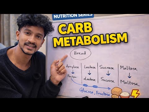 Do Carbs Turn Into Fat? Carbohydrate Metabolism Explained | Nutrition Series | Lecture - 2