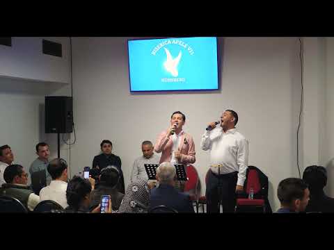 CĂMĂTARI ȘI AVRAM - NUMAI DOMNUL RIDICĂ