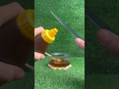 Vídeo Apicultura Borges