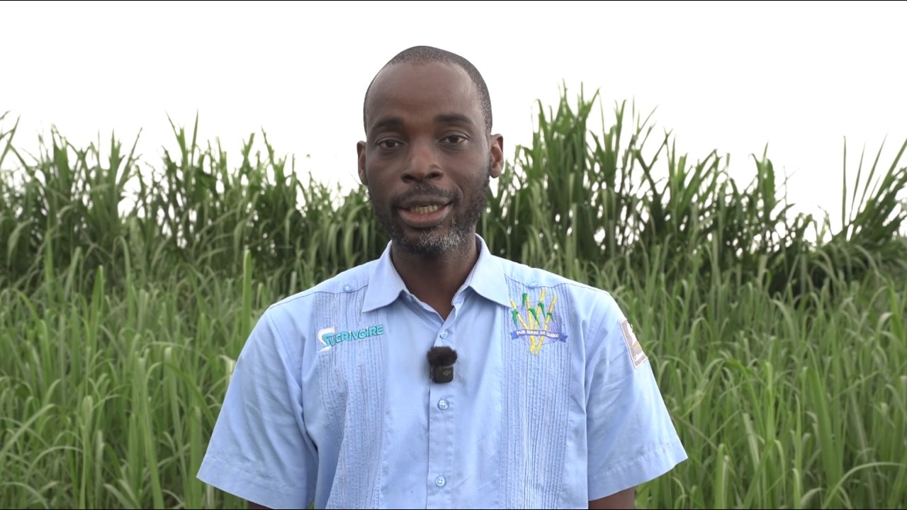 Impact Stories: Sucrivoire