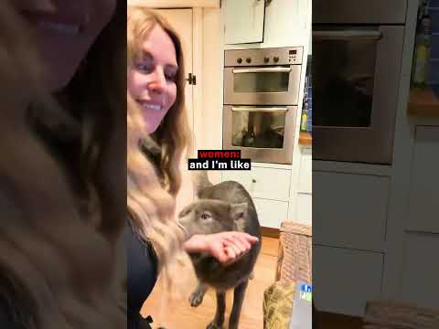 This Dog Is Too Smart 🤯🐕