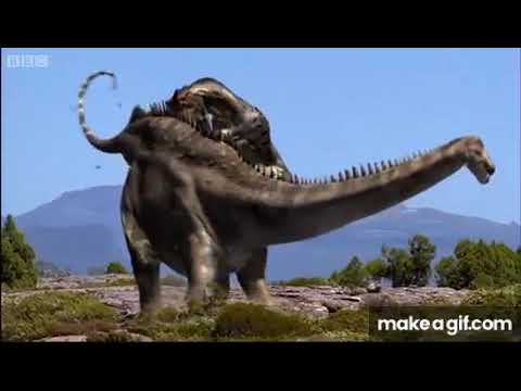 Allosaurus pounces on diplodocus then falls off