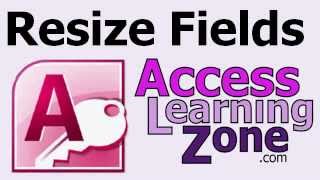 Microsoft Access Resize Form Fields Dynamically with VBA Video Tutorial