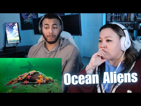 OtakuCouple Reacts to The Terrifying Truth Behind the Aliens in the Ocean (Casual Geographic)