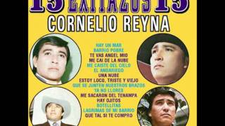 Cornelio Reyna Accords