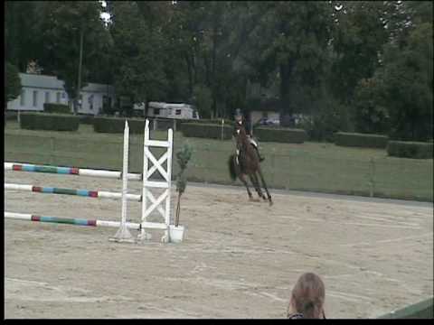 Kantagoo wałach sportowy na sprzedaż