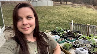 10 Things You Can Plant In Your Garden When Its Still Freezing! | EverCrest