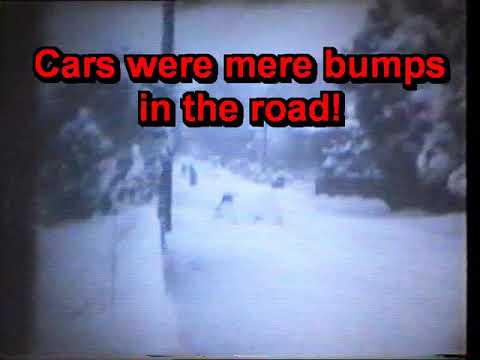 The Great Snow of Early January 1982!