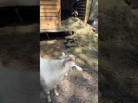 Limpiando la casa del señor Alpes Navas García