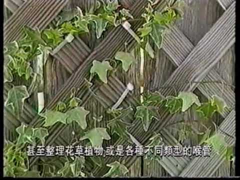 TVC   Star Warnaco    Handy Bundler