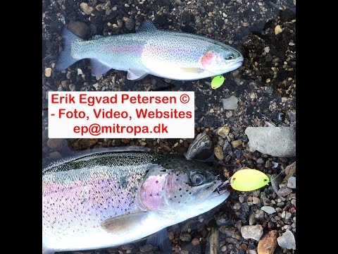 Mjøls Lystfiskeri – Put and Take – Featuring Fidusen