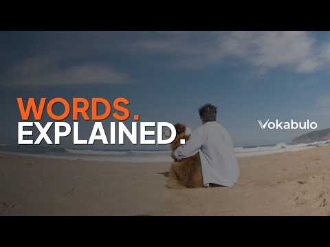 Never Forget a New Word Again — Vokabulo Words Explained