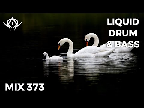 Liquid Drum and Bass Mix 373