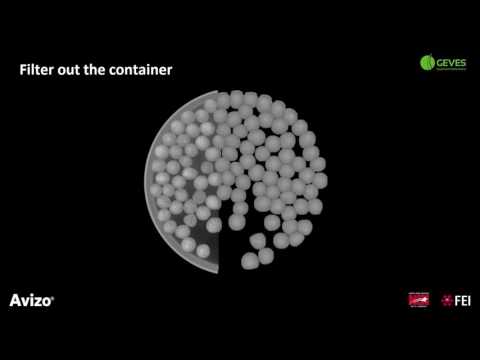 Avizo | Agricultural | Quality assessment of coated sugar beet seeds