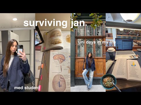 uni diaries | productive days in my life surviving jan