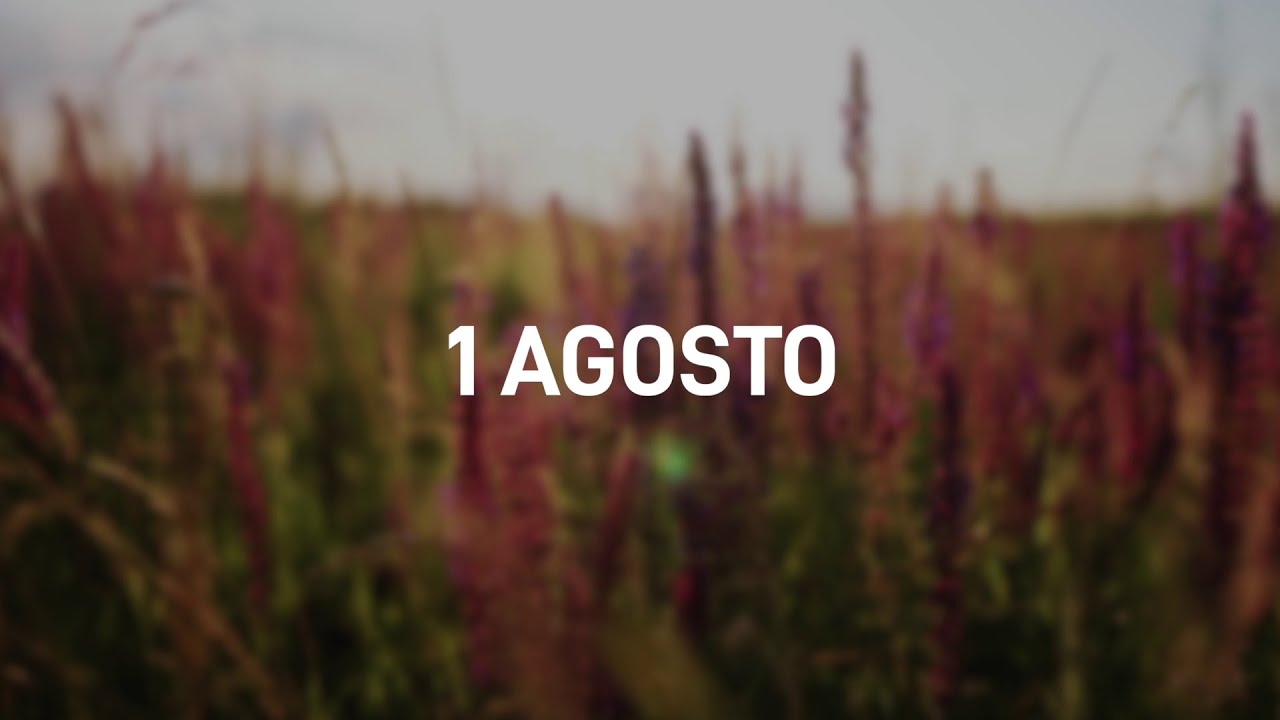 1 Agosto 2025 | Meditazione Parole di Vita