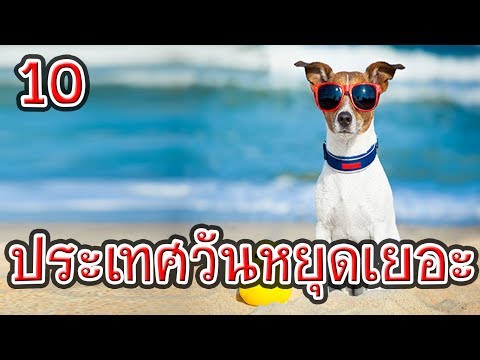 แต่งตัวให้เสร็จสมบูรณ์ แต่มีหน้าอกเล็ก หน้าอกพลาสติกในราคา Rostov