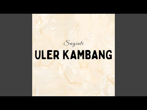 Uler Kambang