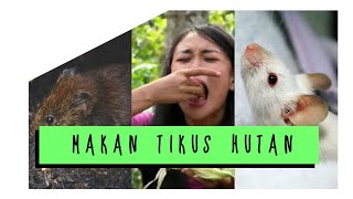 MAKAN TIKUS HUTAN - JEJAK PETUALANG EXTREME (Malola-Minahasa Selatan), Agustus 2017.