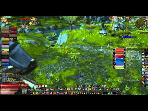 Hunter for life: Mop lvl 90 Hunter pvp