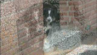 Rebecca Lavelle - My heart is like a river (Remix).wmv