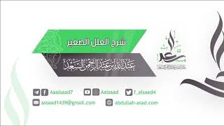 صورة المجلس الثاني: شرح العلل الصغير | الشيخ عبد الله السعد