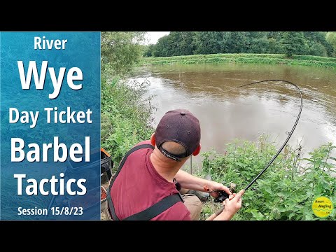 Day Ticket Barbel Fishing The River Wye - Approach & Tactics - It's Rising Fast! - 15/8/23 (Vid 427)