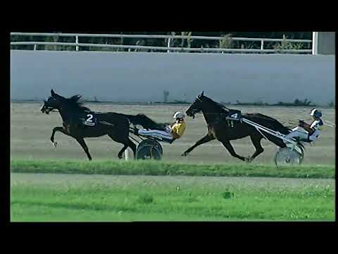 Napoli Trotto 16/09/2022 - 6ª corsa