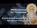 Sfantul Proroc Ilie Tesviteanul