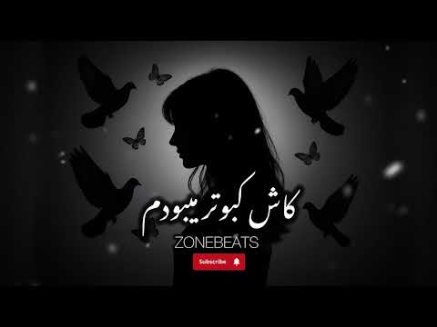 Afghan Song | Kash Kabotar - کاش کبوتر میبودم | هوش مصنوعی