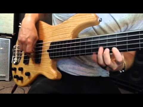 Lakland 55-01 Fretless Bass.