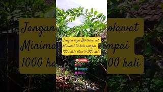 Download lagu Sholawat Jibril gitar akustik #sholawat #shortvideo #fyp #viral mp3 Download lagu Sholawat Jibril gitar akustik #sholawat #shortvideo #fyp #viral mp3