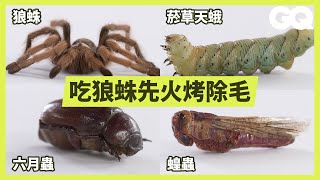 [問題] 只看兩次哈洽馬YT就推薦吃蟲影片正常嗎？