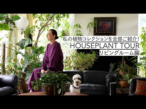 , title : '#37 私の植物コレクションを全部ご紹介! HOUSEPLANT TOUR 〜リビングルーム編〜'