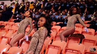Southern University Fabulous Dancing Dolls "Until The Pain Is Gone" (2017)