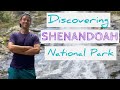 SHENANDOAH NATIONAL PARK / Best Hikes + Waterfalls in 4K | (Plus, why the mountain range looks blue)