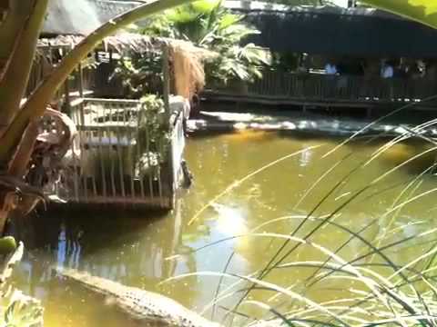 Man almost lost his arm