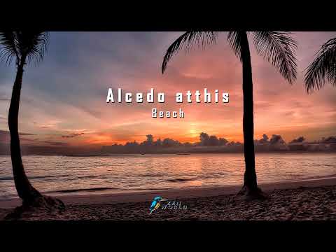 Meditation music for Stress and Anxiety | Alcedo atthis - Secret Vibes