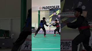Download lagu Adu Serangan mematikan pesilat || Story wa pencak silat terbaru  #psht #ipsi #short #story mp3