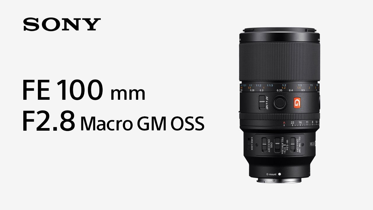 Sony FE 100mm f/2.8 Macro GM OSS