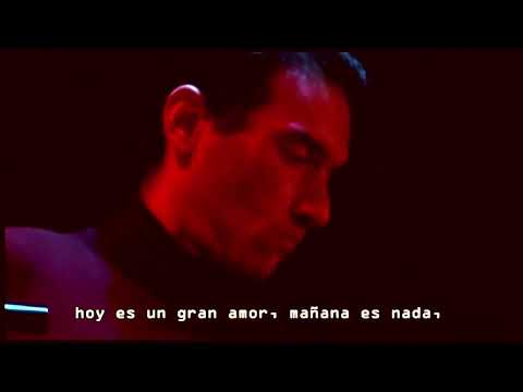 Acompañada Y Sola - Celeste Carballo