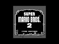 Super Mario Bros 2 Music Underworld Extended