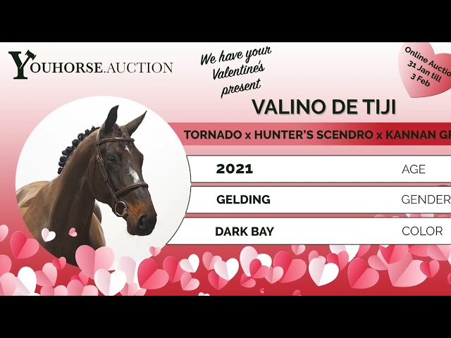 Valino De Tiji trainingsvideo