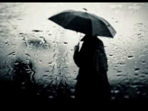 Arzu Rzayev "ДОЖДь"