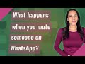 What happens when you mute someone on WhatsApp?