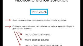[Medicina Veterinária] Sistema Nervoso dos Animais Parte 2