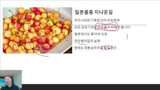 체리 자료의 기본은 모두 일본품종이바탕이다