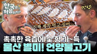 '우리 한국으로 이민 오자'😭 덴마크 삼 형제가 반한 맛의 정체는?? l #어서와한국은처음이지 l #MBCevery1 l EP.443